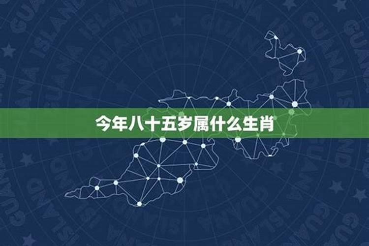 81年属鸡女2025年每月运势及运程详解