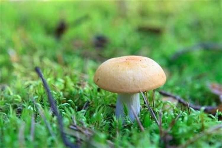 还阴阳债计算公式大全