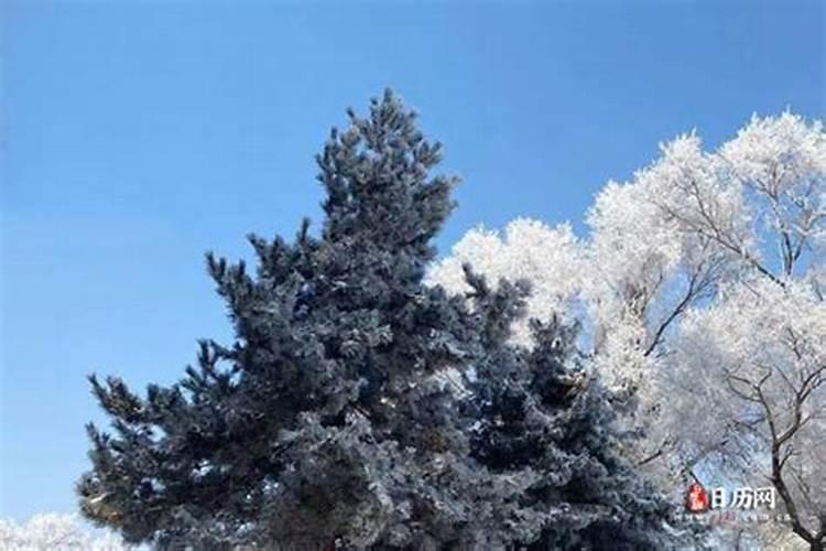 哪一年清明节是4月6日？