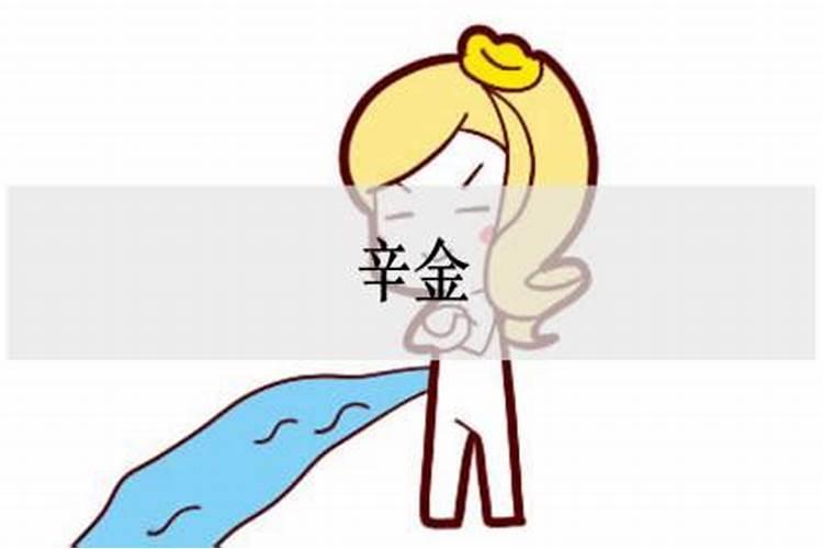 辛金命是什么意思？