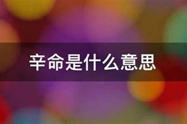 辛金命是什么意思？八字事业运势分析