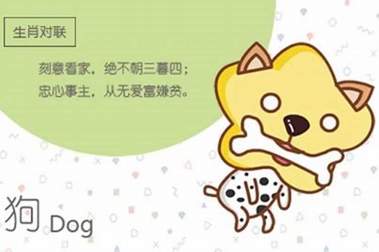 属相婚配狗和龙配吗,属狗的是和龙相克吗？