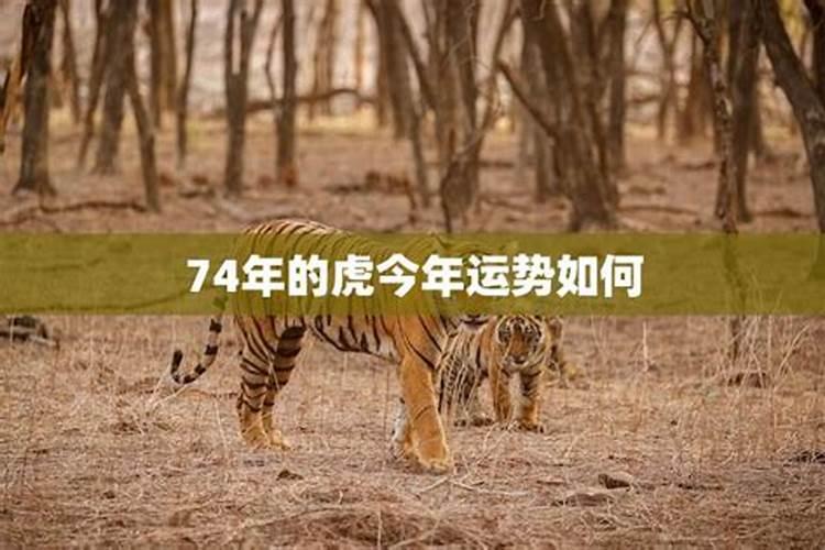 梦见大海是什么预兆