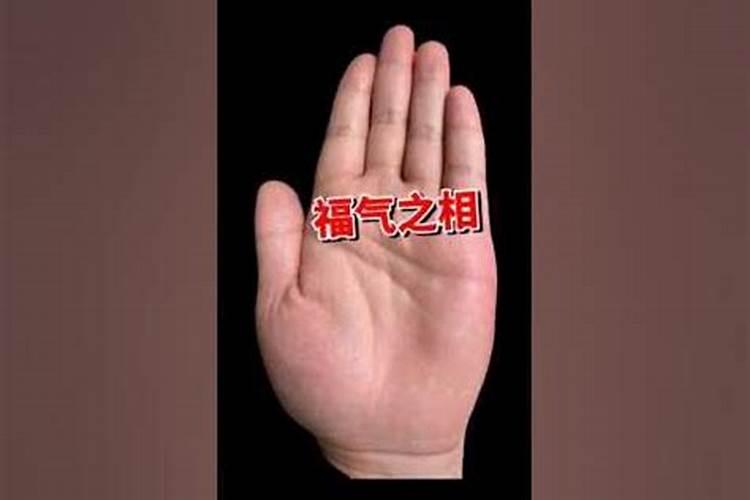 2025年6月19日哪个生肖财运最好