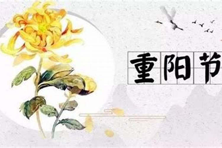 重阳节上坟吗