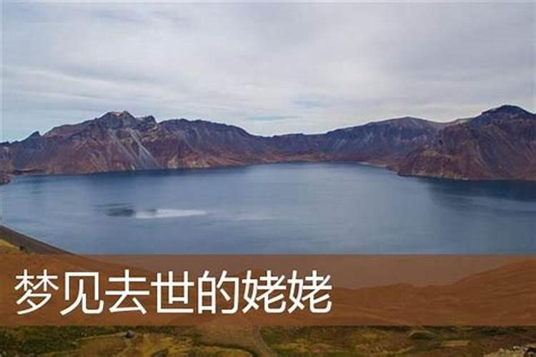 猪年属狗人的运势如何 运程解析？