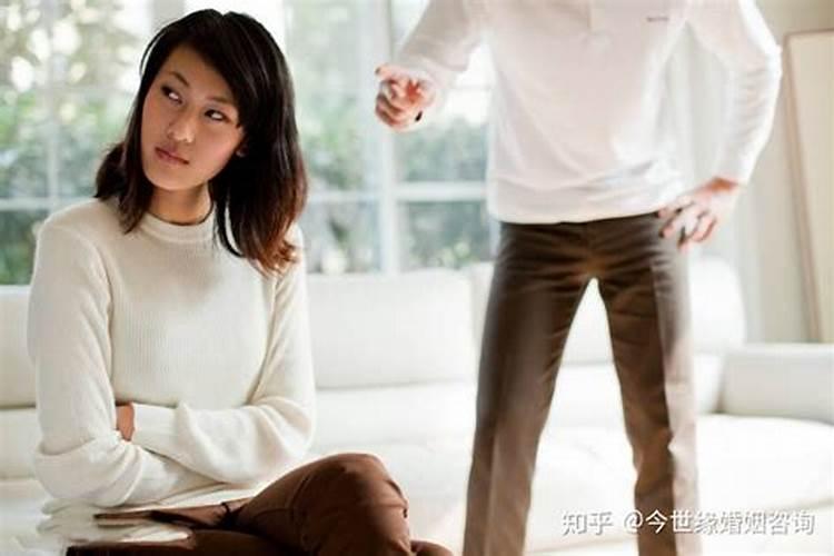 梦见小狗生了一窝小狗的预兆