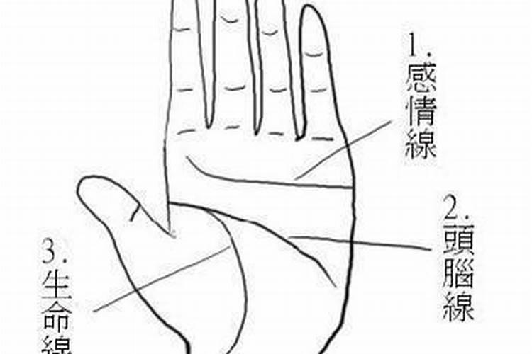 男人手相能看右手吗 男人右手手相代表含义