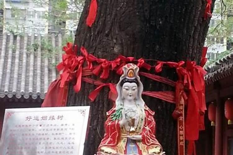 为什么雍和宫不能随便拜