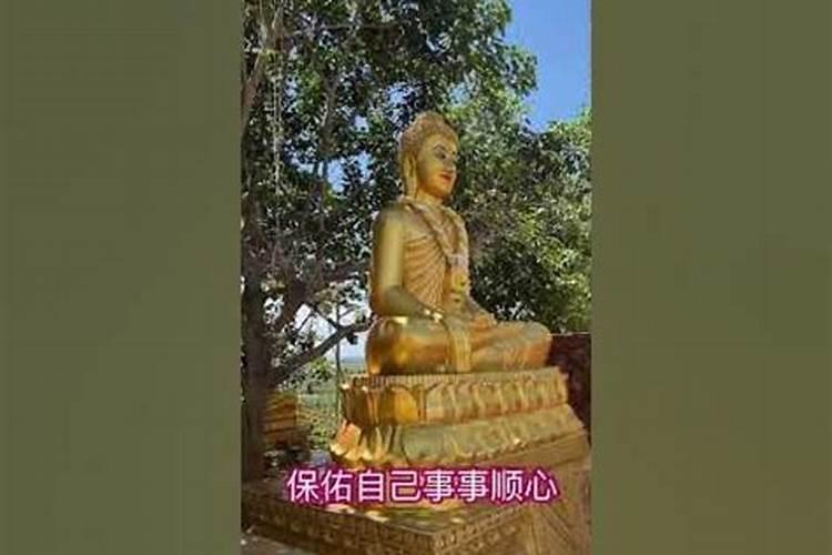 2025属鸡人全年运势如何 属鸡2025年运势及运程