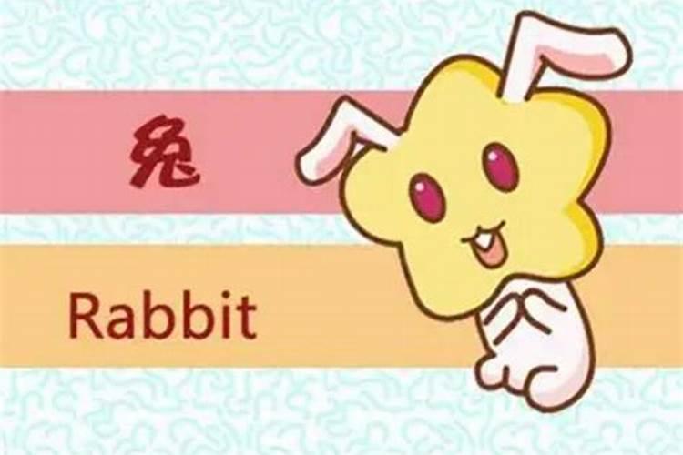 属兔犯太岁的年份有哪些
