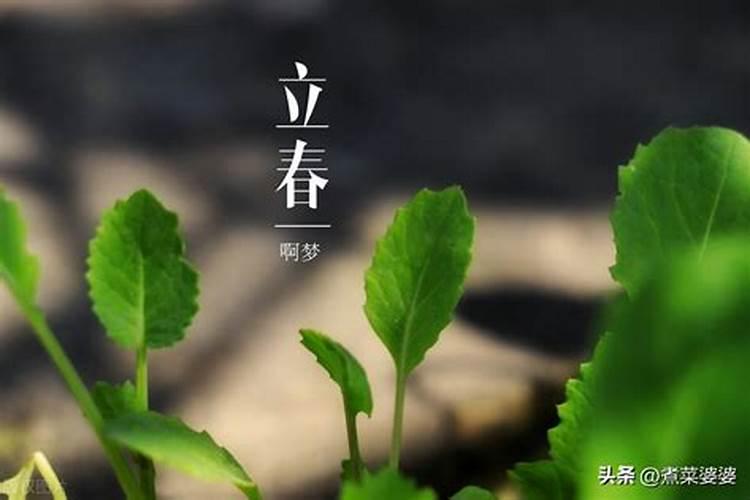 财喜神 2024年2月4日立春今日财神方位在哪里？
