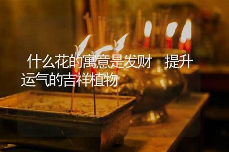 害太岁破太岁值太岁刑太岁分别都是什么意思