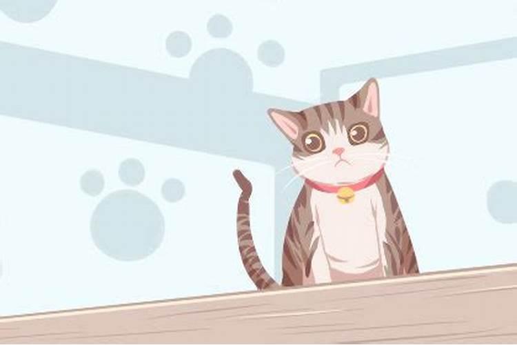梦见好多猫来我家的预兆