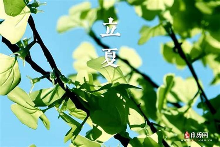 梦见男朋友和别的女人接吻有什么预兆？是什么意思？