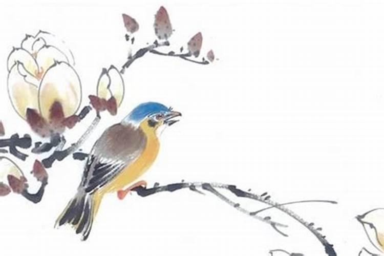 81年属鸡农历8月2日出生的是什么命