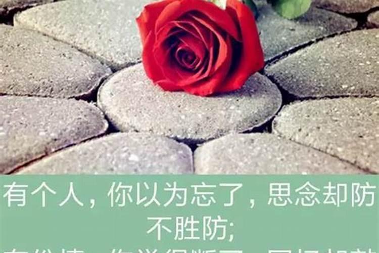 梦到一个人说明他在忘记你吗,梦见一个人证明他正在忘记你