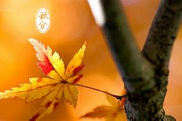 秋分曾是传统的“祭月节”,那究竟什么是“祭月节”？