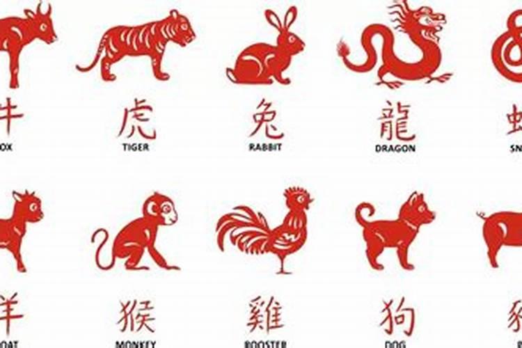 丑到我了快赔钱!世界十大丑陋动物