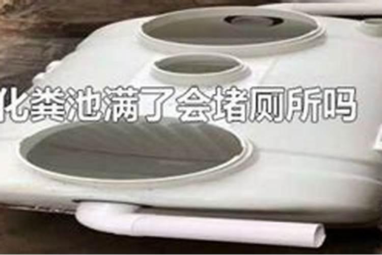 1987年几月出生的属兔命好 三月兔好吗？