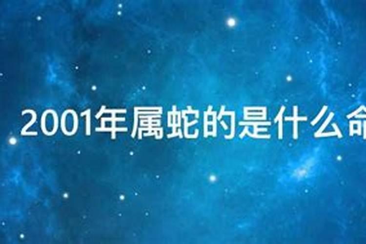 夏至未至里的祭司是什么意思？