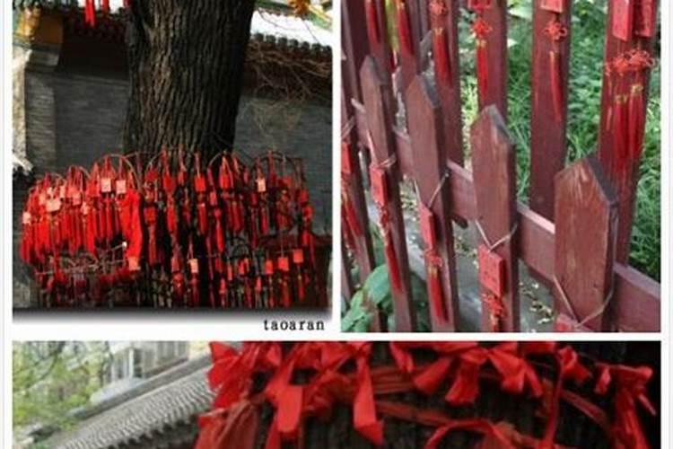 上海龙华寺求什么灵(求子和求姻缘)(上海龙华寺求子攻略)
