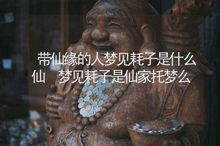 带仙缘梦见拉屎是什么预兆