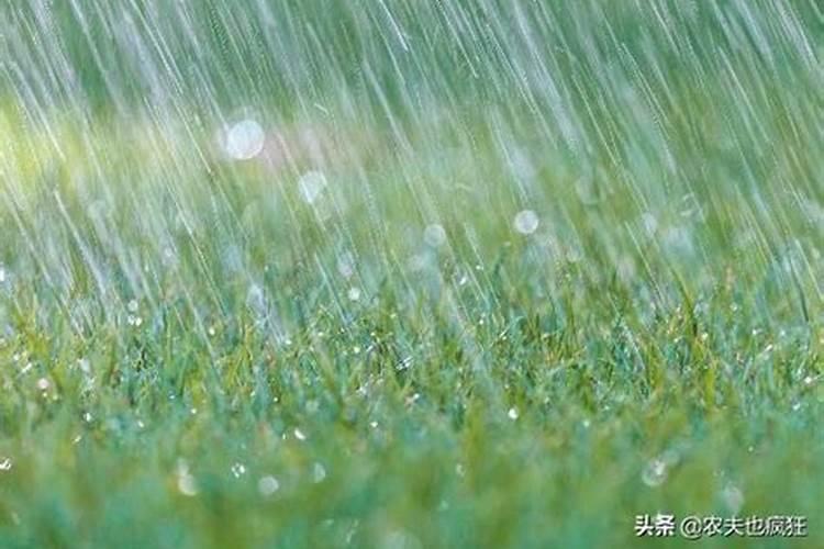 梦见女儿爬树被老婆摇了摔下来了？