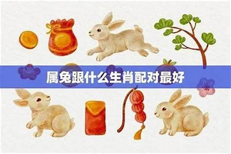 生肖兔1987年2025年运势如何 生肖兔1987年2025年全年运势
