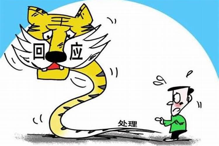 虎出生子时与蛇出生巳时八字合吗