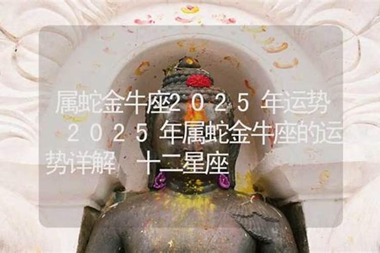 2025年属什么生肖蛇是什么命