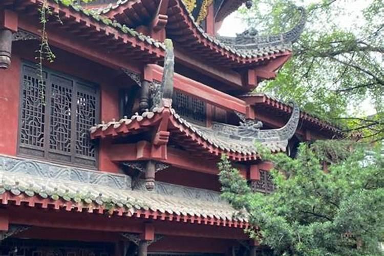 属蛇男和属鼠女婚姻相配吗