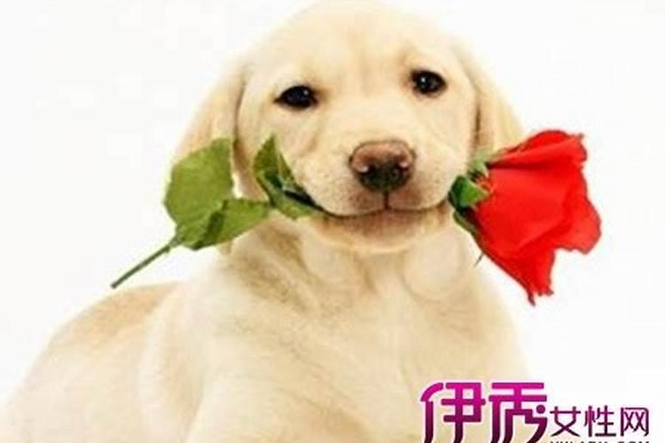 女人戴什么东西能转运