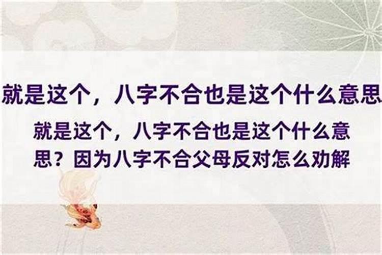 八字相合是什么意思？