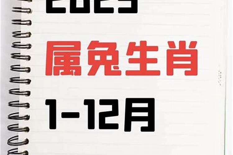 生肖兔2025年运势及运程如何