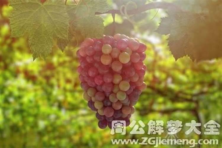 家里的父母或老人寿命不长,在风水学上有什么说法？