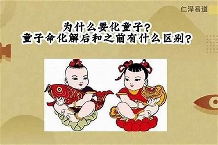 太岁是什么(太岁就是一坨肉,为什么能价值百万？