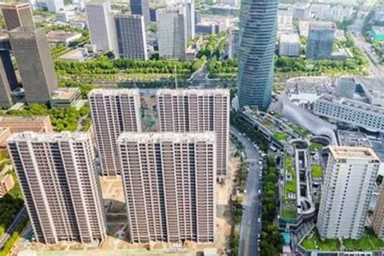 董易奇十二生肖2025运程