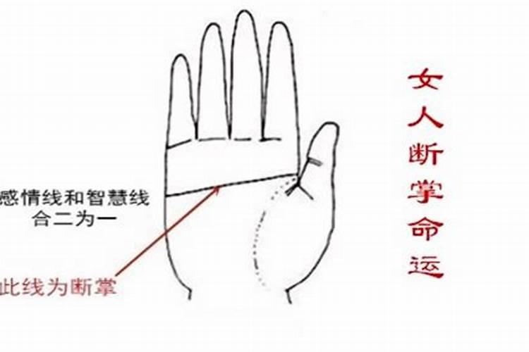 腊月15是什么星座