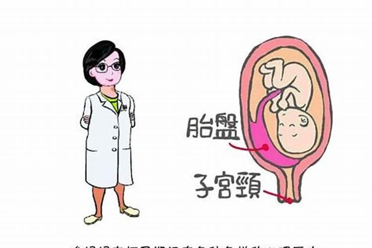 土龙人的性格特点与命运预测