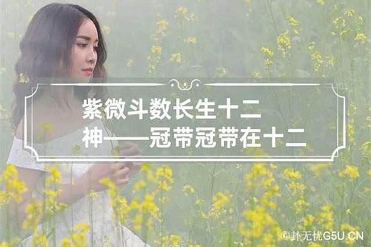 求大师告诉命宫.庚辰(冠带)什么意思、