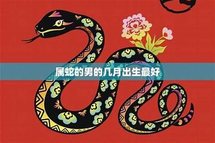 属蛇生在腊月好吗