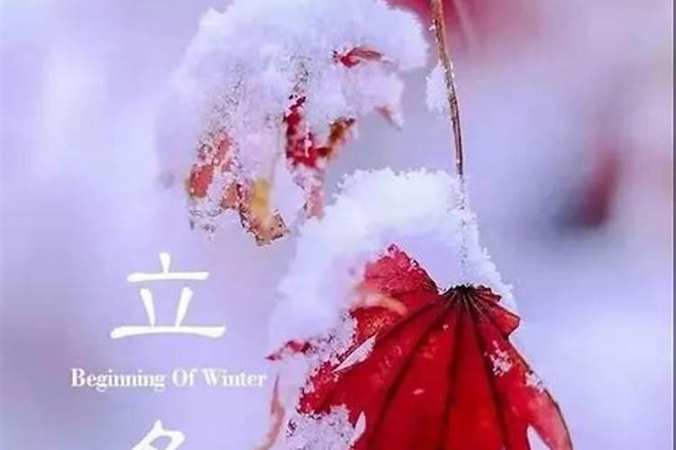 鸡年哪些生肖运气好