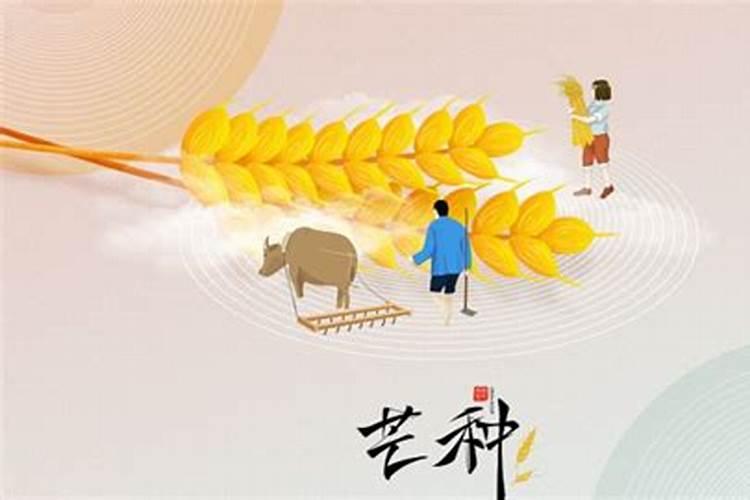 芒种和夏至是什么意思 夏至的白昼时间最长？