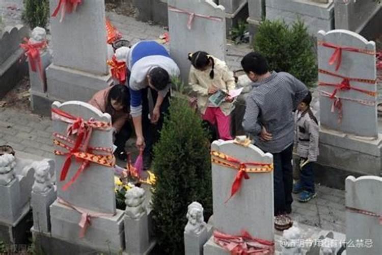 清明节网上祭拜需要什么