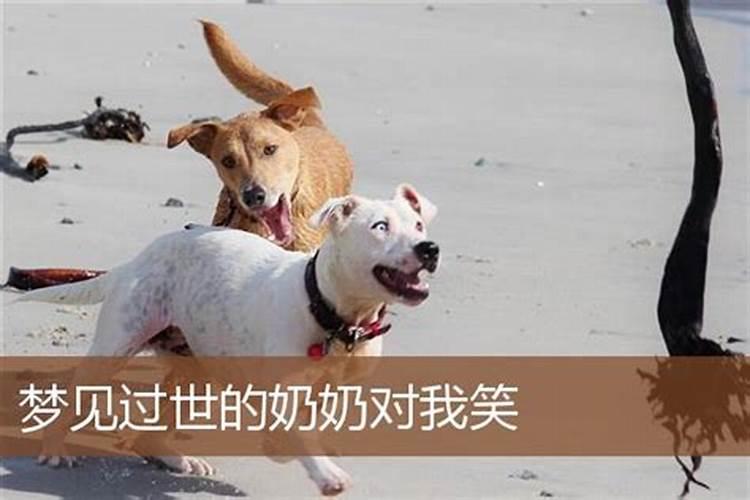 梦见已故奶奶笑了的预兆