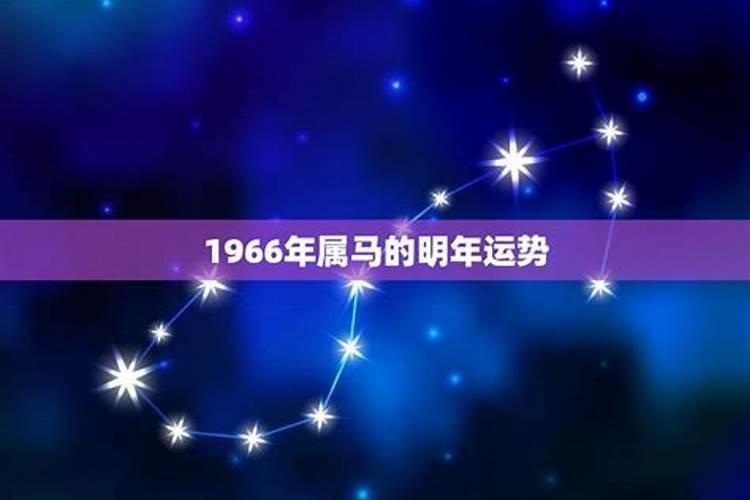 1966年属马的是什么命 1966年属马的命运怎么样？