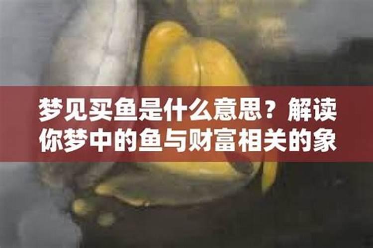 梦见买鱼杀鱼是什么意思