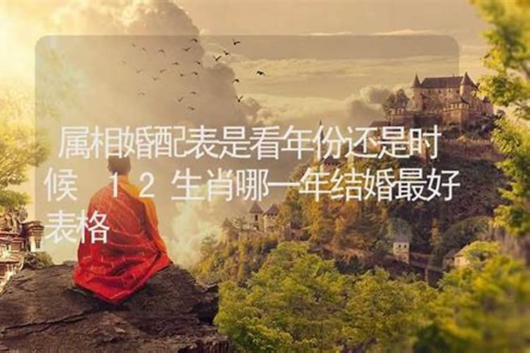 2025属鼠的运势怎么样