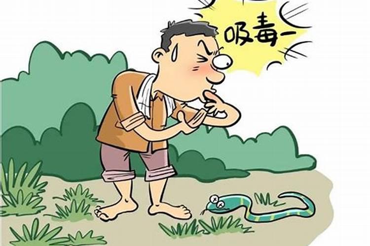 女人梦见被蛇咬脚预示着什么